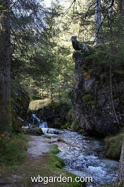 wbgarden alps 4.JPG